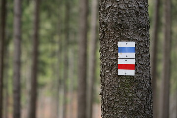 Wegweiser zur Orientierung im Wald