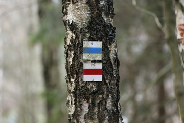 Wegweiser zur Orientierung im Wald