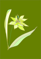 drawing of flower by computer graphics