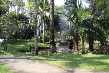 Obraz premium A beautiful view of Bird Park in Bali, Indonesia