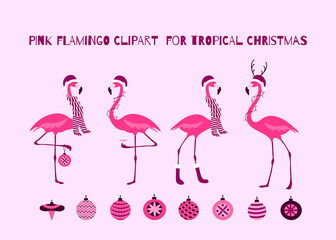 Pink Christmas Flamingo Set Tropical Birds Design
