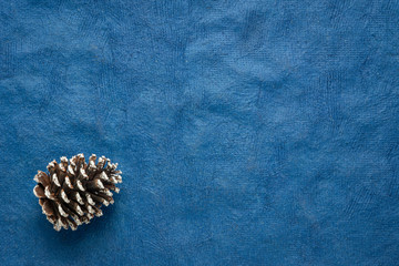 Fototapeta na wymiar frosty decorative pine cone on blue background