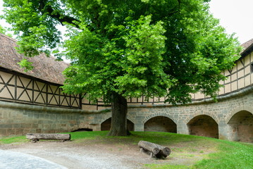 big tree in a small park and a stone bridge in an old castle