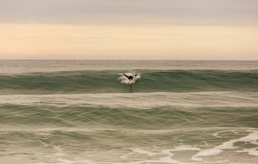 Surfer at sunset