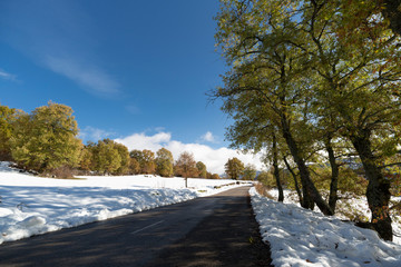 Snowy landscapes in the Leonese mountain after an atypical autumn fall
