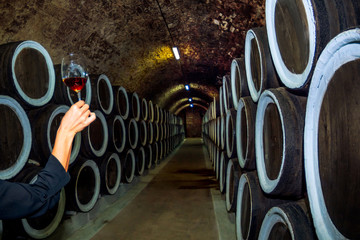 Wine cellars