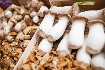 Fruits and vegetables