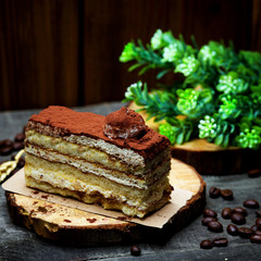 airy sponge cake cocoa coated