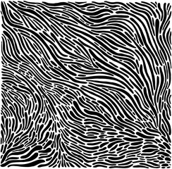 Abstract black lines, spots, isolated on a white background. Doodle style.