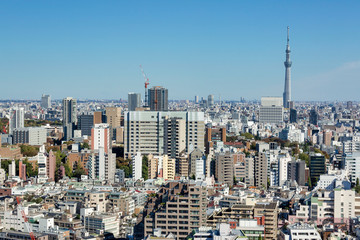 Naklejka premium Widok Tokyo Skytree z tarasu widokowego Bunkyo