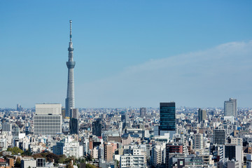 Fototapeta na wymiar Tokyo Skytree view from Bunkyo Observation Deck
