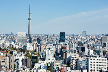 Tokyo Skytree view from Bunkyo Observation Deck