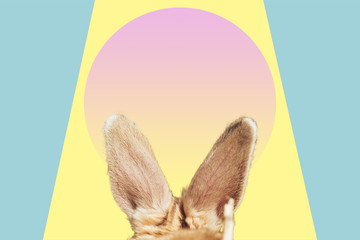 Beautiful abstract surreal Rabbit ears  collage concept, contemporary colors and mood social background.