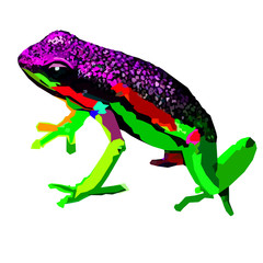 Cute Frog in Vector Pop Art Full Colours Illustration