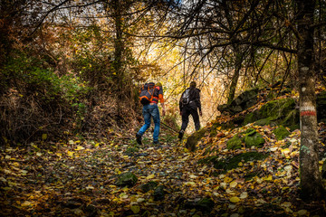 Fototapeta premium Trekking from Pontito to Penna di Lucchio, Lucca - Tuscany