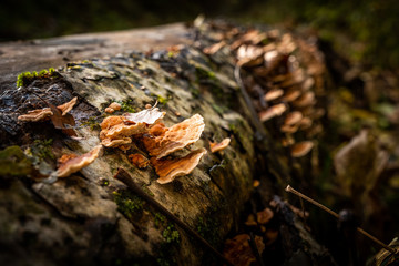 Trekking from Pontito to Penna di Lucchio, Lucca - Tuscany