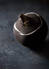 Fototapeta premium black radish