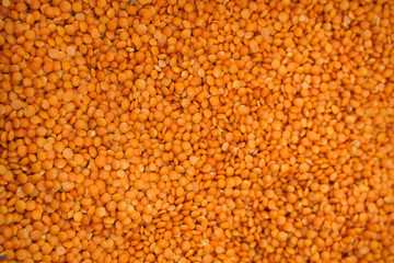 Natural red lentils closeup. Background with a lot of lentils.    