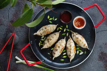 Serving pan with fried potstickers dumplings, flatlay over grey cracked stone background, studio shot