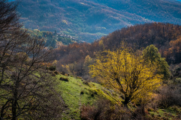 Trekking from Pontito to Penna di Lucchio, Lucca - Tuscany