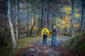 Fototapeta premium Trekking from Pontito to Penna di Lucchio, Lucca - Tuscany