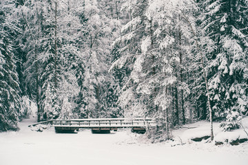 Photo of picturesque winter landscape.