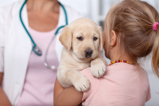 Little girl holding her puppy at the veterinary healthcare clinic