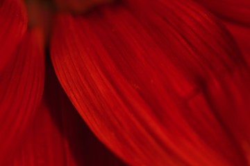 red silk background