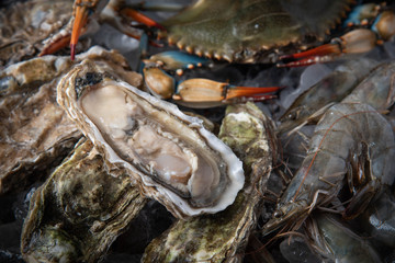 crustacean in pan filled with ice
