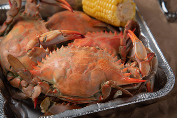 steamed chesapeake blue crab on paper © ahirao