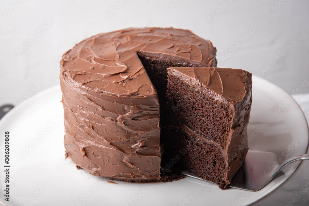 Poster american traditional chocolate cake coated with icing