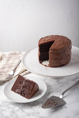 american traditional chocolate cake coated with icing