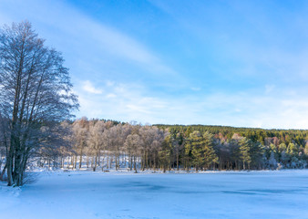 The magnificent winter scenery of Scandinavia