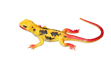 Obraz premium yellow with red and black lizard toy on white isolated background
