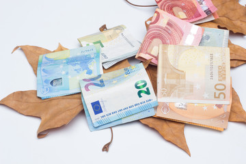 Billetes de dinero y hojas secas; billetes de Euro