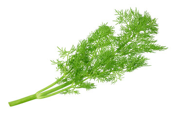 fresh green dill isolated on white background. top view