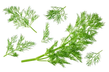 Foto op Aluminium fresh green dill isolated on white background. top view © Tatiana