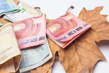 Billetes de dinero y hojas secas; billetes de Euro