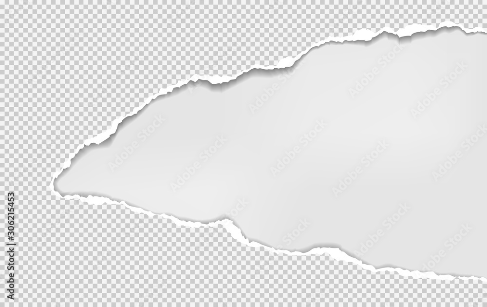 Poster piece of torn squared realistic paper with soft shadow is on white background. vector illustration