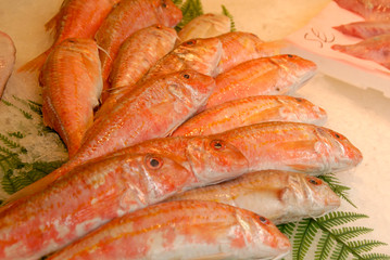 Red mullet at fresh fish market in Paris