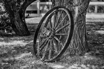 Fototapeta na wymiar Wooden wheel and rime against a tree.