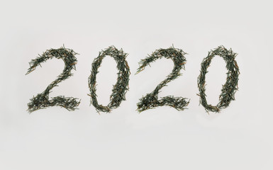 Christmas winter composition. 2020 made with Christmas tree pine needle on white background. Top view, flat lay