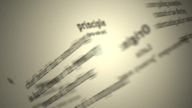 Definition: Principle