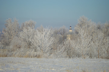 Frosty morning in the village. Grasses, trees, houses, the ground is all covered with snow and...