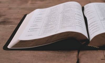 Naklejka premium pride the bible christian life