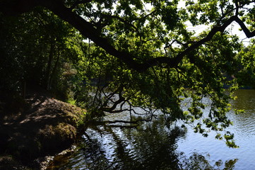 Lac Val Saint Martin Pornic