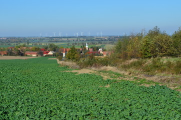Polski krajobraz - pola i wieś, Dolny Śląsk, Granowice