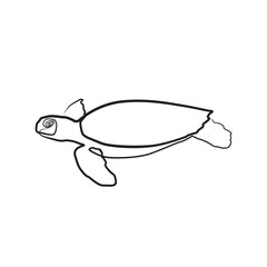 Sea turtle one line illustration