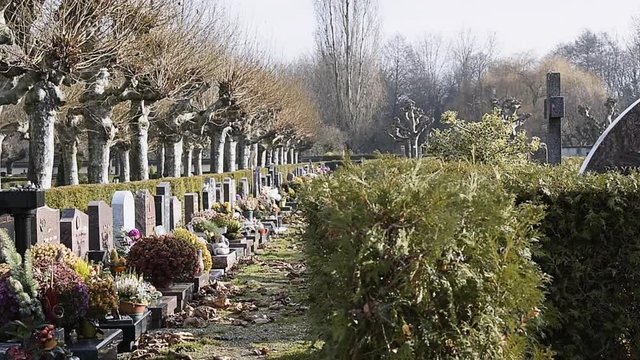 Pan over multiples graves in French cemetery with multiple flowers in the autumn