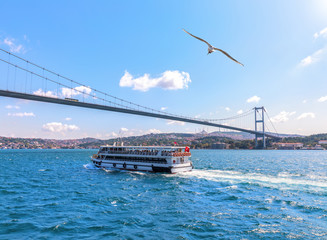 Cruise ship under the Bosphorus bridge, Istanbul, Turkey